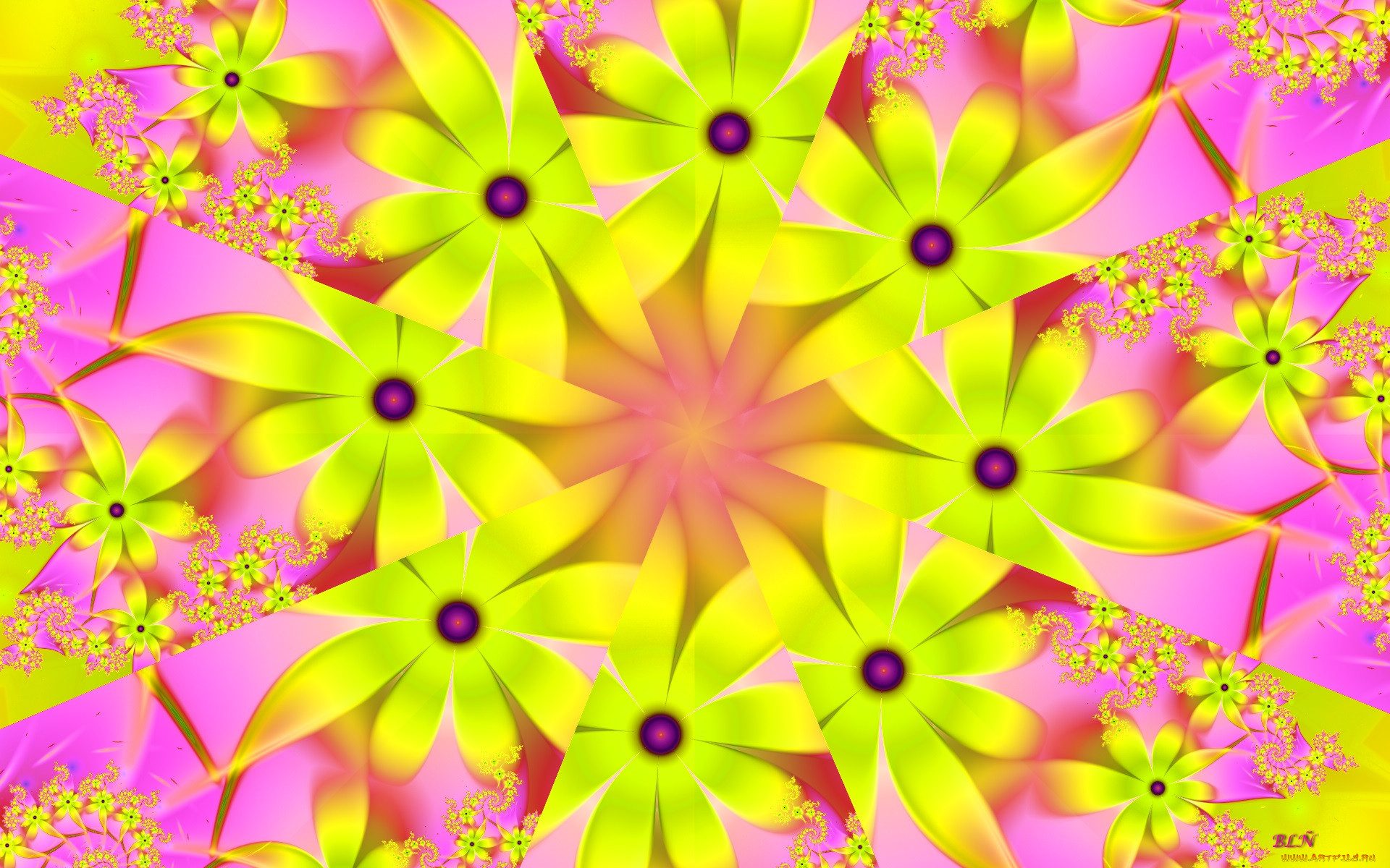 3 ,  , flowers, , , 